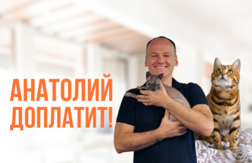 🔥Анатолий доплатит! Кастрация, стерилизация от 55р, ветеринарные услуги от 5р в "КэтЛен" в Орше